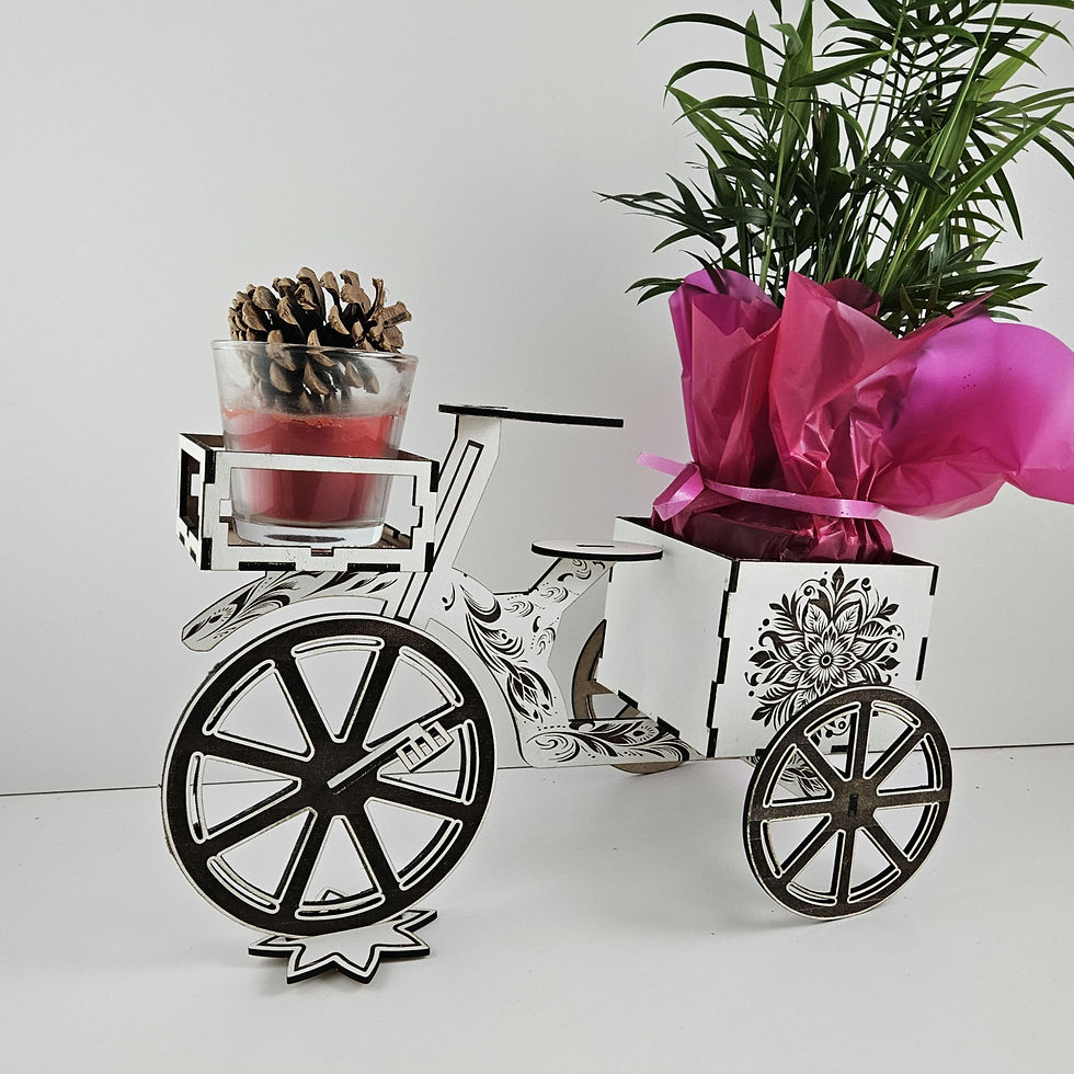 Thumbnail: Bicycle Plant Holder Decoration (Digital download file)