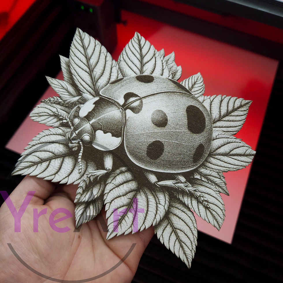 Thumbnail: Ladybug 3D Illusion (Digital Item)