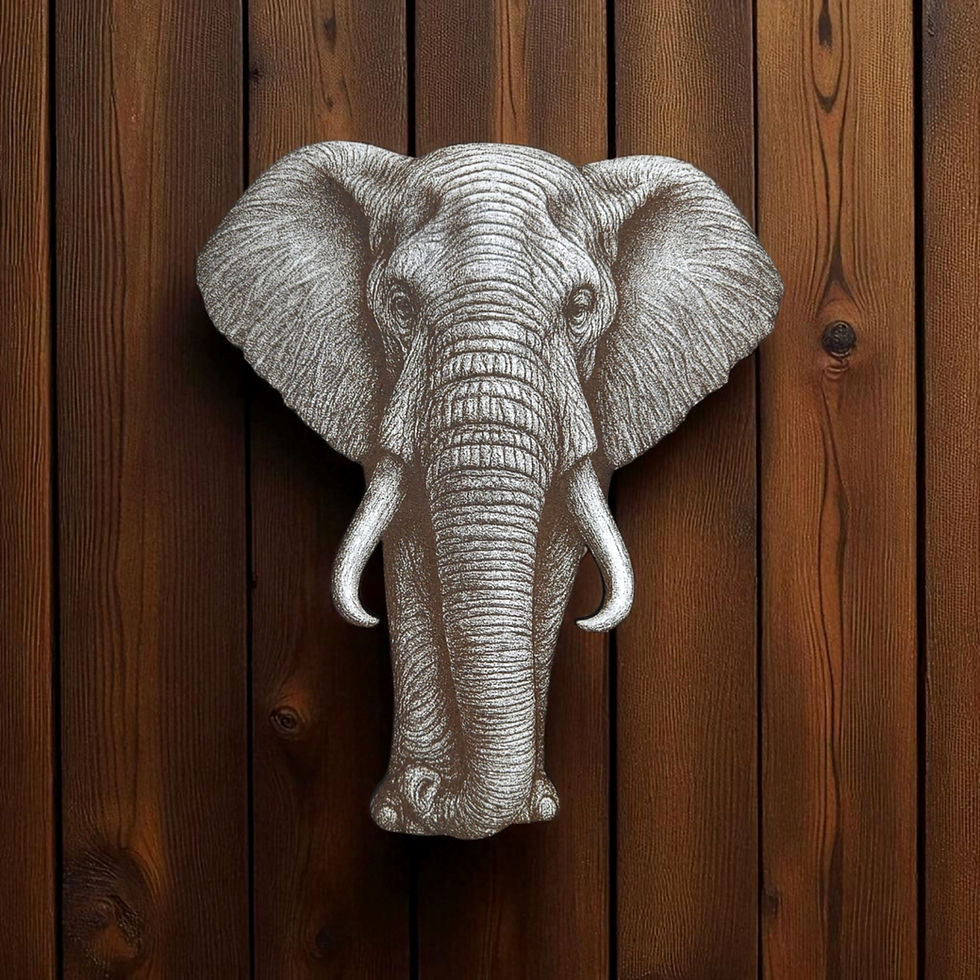 Thumbnail: Elephant 3D Illusion (Digital Item)