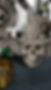 Thumbnail: Skull K 3D Illusion (Digital Item)