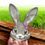Thumbnail: Bunny V 3D Illusion Laser Engraving Design (Digital Item)