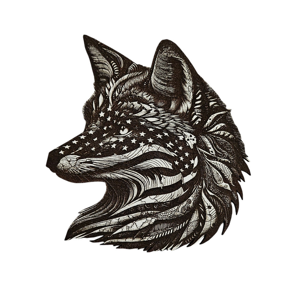 Thumbnail: Fox Usa 3D Illusion Laser Engraving Design (Digital Item)