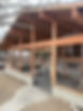 image1.jpeg