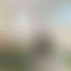 Fasi di preparazione della monolimb