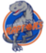 logo Palermo Raptors