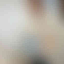 Fasi di preparazione della monolimb