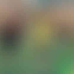 3 ragazzi sotto il canestro che giocano a baskin