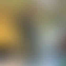 Fasi di preparazione della monolimb