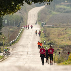 Un tratto della via Francigena