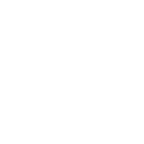 Light Bulb Icon (Inverted).png
