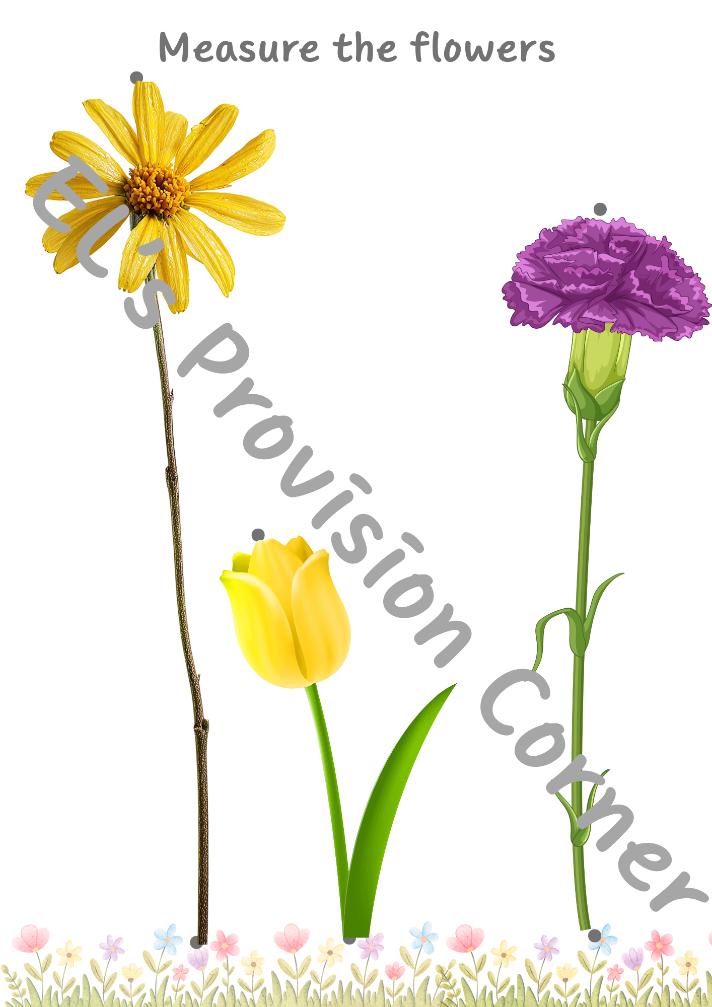 Measure the flowers