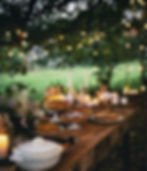 Dîner champêtre avec des guirlandes