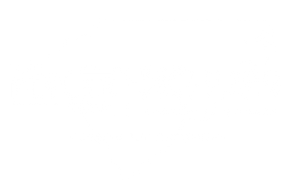 Plyler Team Carolinas Logo_03222023.png