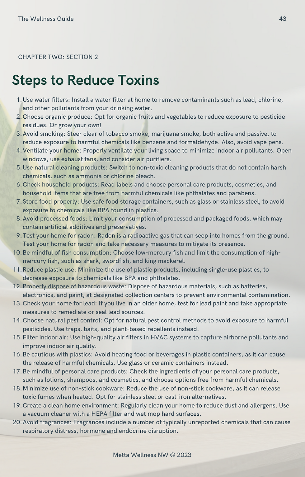 Thumbnail: FREE - The Wellness Guide - A Functional Medicine Approach Abridged