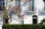 blossom tree in front of house