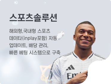 스포츠솔루션