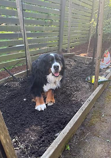 Screen Shot 2025-08-19 at 7.23.27 PM.png