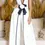 Miniatura: Romantic Deep V Neck Wide Leg Set