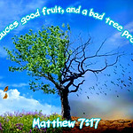 Trinity 8