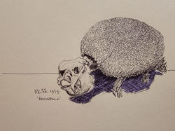 10/15 Armadillo