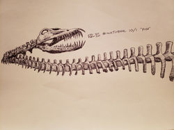 Day 1, "Fish"