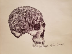 Day 20, "Coral"