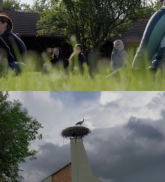 Untitled design (1).png