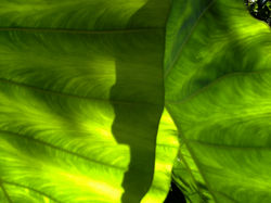 PIC00457