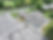 DJI_20250815111742_0931_D.JPG