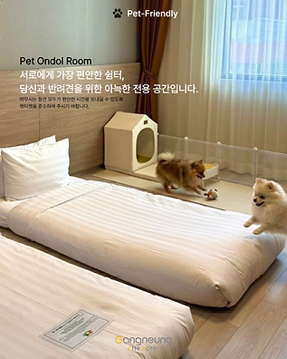 IG PO.png