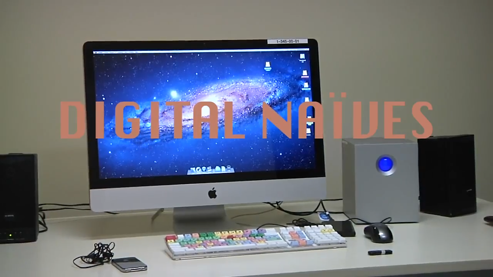 Digital Naïves (Short Film)