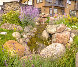 House_2_TW_Back_Water_Feature_2.jpg