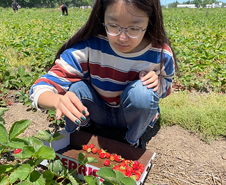 strawberry.JPG