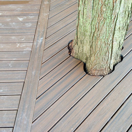 Trex Deck built around existing tree