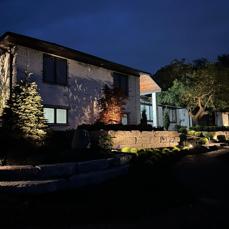 Landscaping bed after dark.