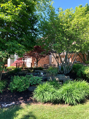 Pondside landscape bed.