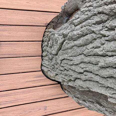 Trex Deck built around existing Oak Tree