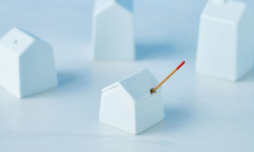 variety｜essence of life