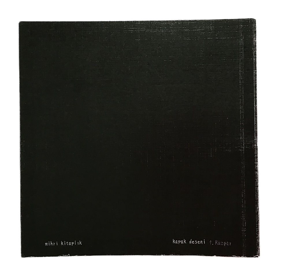 pelin özer sakin şiir kitabının arka kapağı