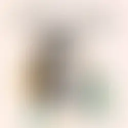 Göz Güneşe / Reyhan Karaarslan kısa romanını okurken