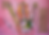 FRENTE 3_edited.png