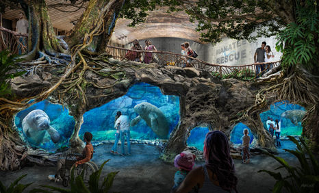 Manatees.jpeg