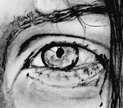 Ludovica Nasti (oeil)