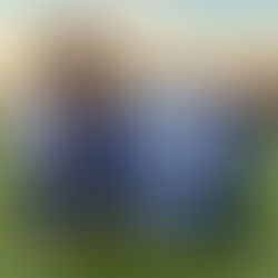 Martinsgans-Querfeldein 2025