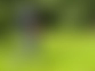 AK 50 Herren feiern souveränen Auswärtssieg in Oberneuland
