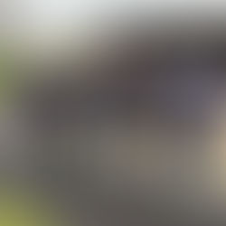 Gelungener Einstand für die AK50