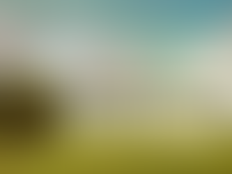 #SWEBibleChallenge is back