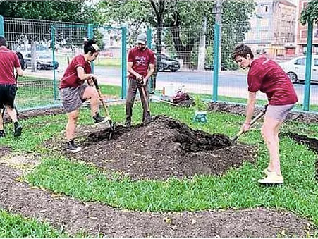 Instalação de 68 novas áreas de Plantio: Correio do Povo - Porto Alegre
