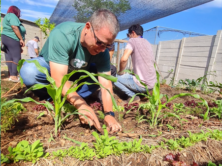 Onde estão as Hortas Comunitárias de Porto Alegre?
