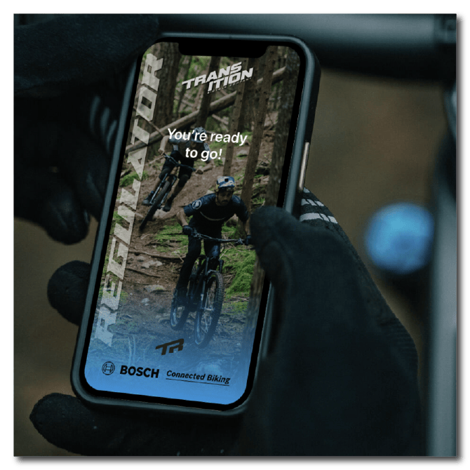 Thumbnail: Transition Regulator SX